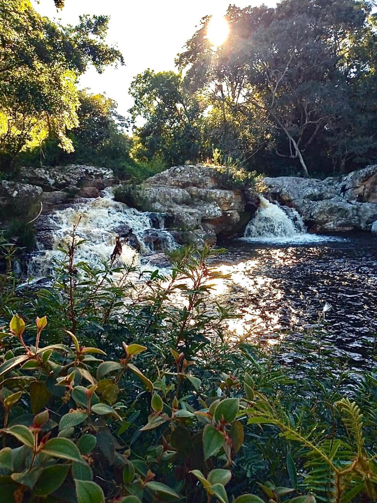 Reserva Do Bosque Hospedaria E Natureza Ibicoara Eksteriør billede