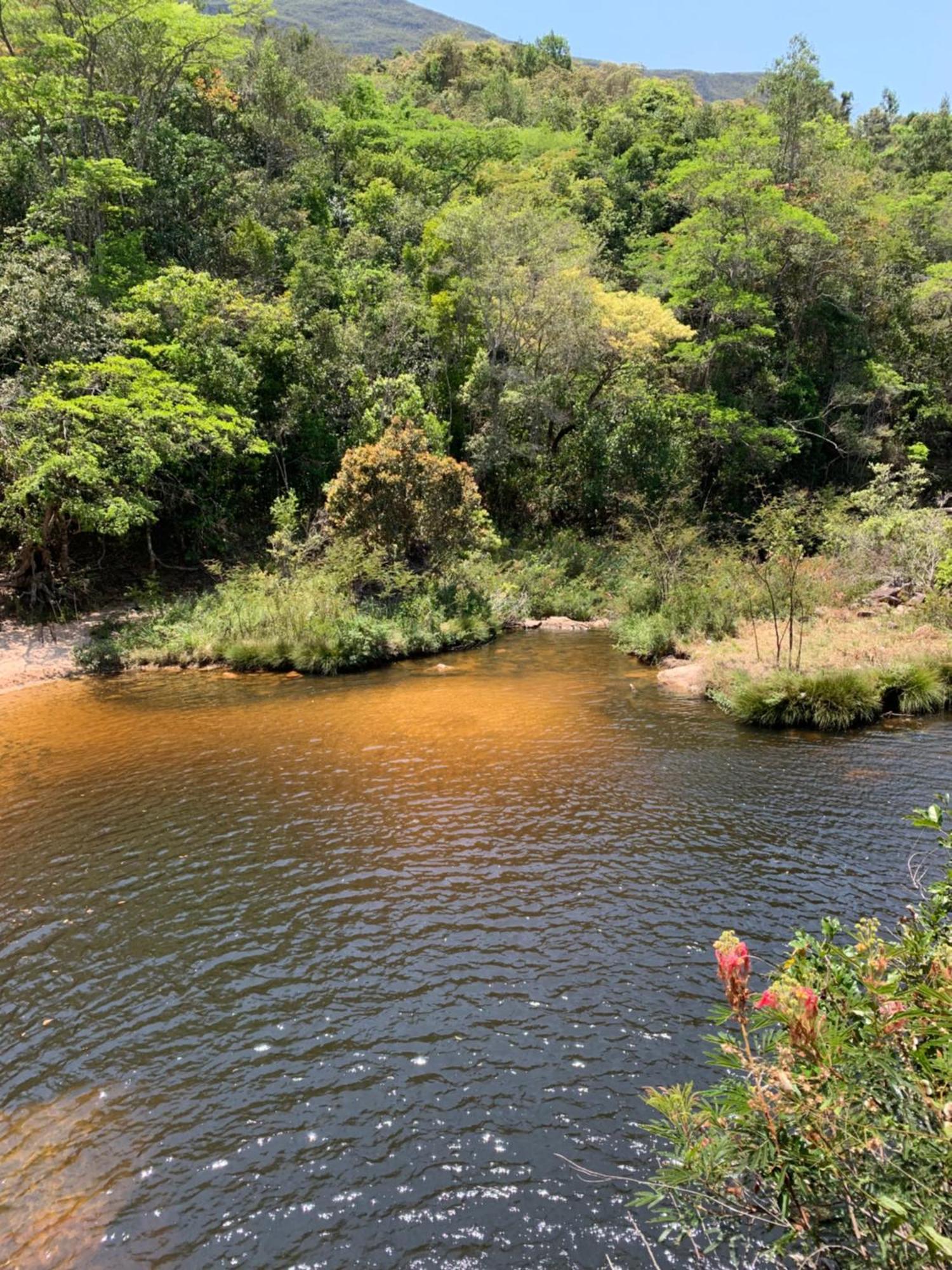 Reserva Do Bosque Hospedaria E Natureza Ibicoara Eksteriør billede