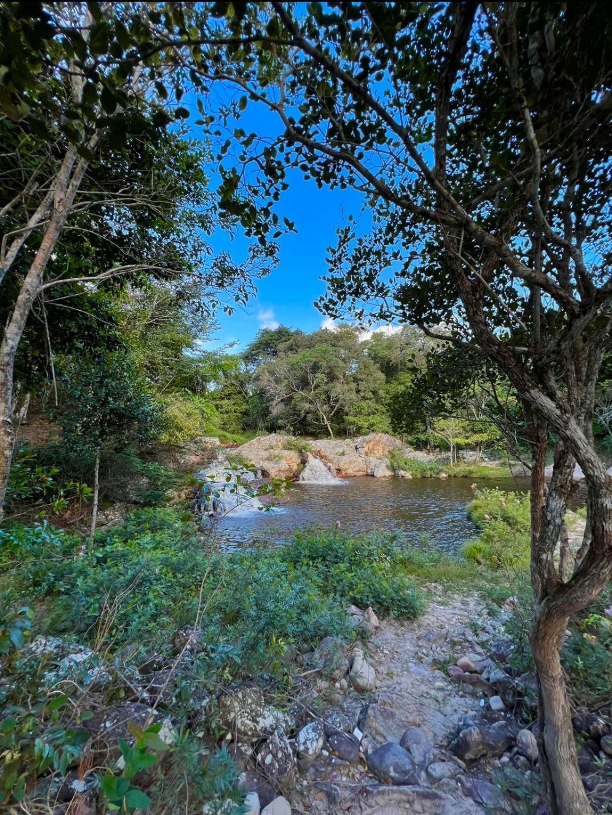 Reserva Do Bosque Hospedaria E Natureza Ibicoara Eksteriør billede